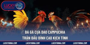 Đá gà cựa dao Campuchia