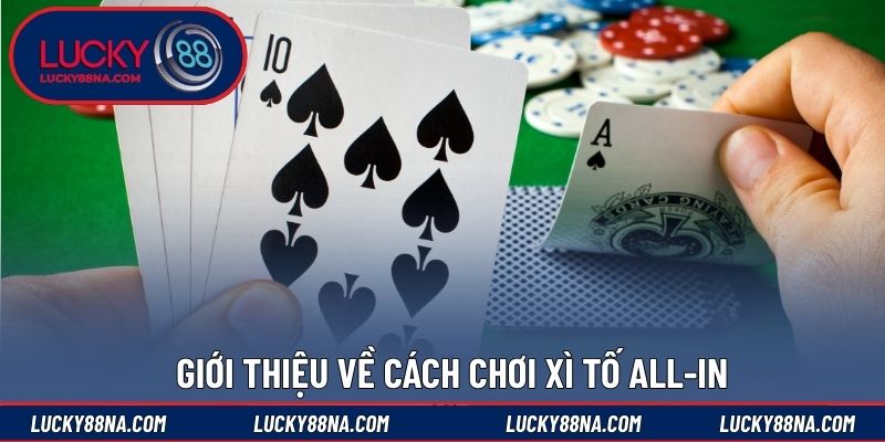 Giới thiệu về cách chơi xì tố all-in